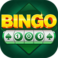 bingo 101